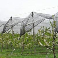 Shade net (mesh shade)